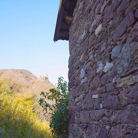 Unterbi Apartments Appiano Sulla Strada Del Vino Zewnętrze zdjęcie